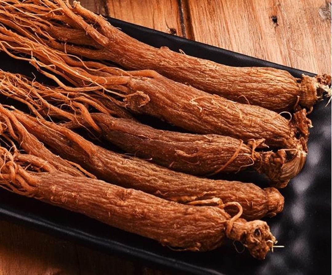 Red Ginseng Root