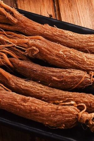 RED GENSENG ROOT
